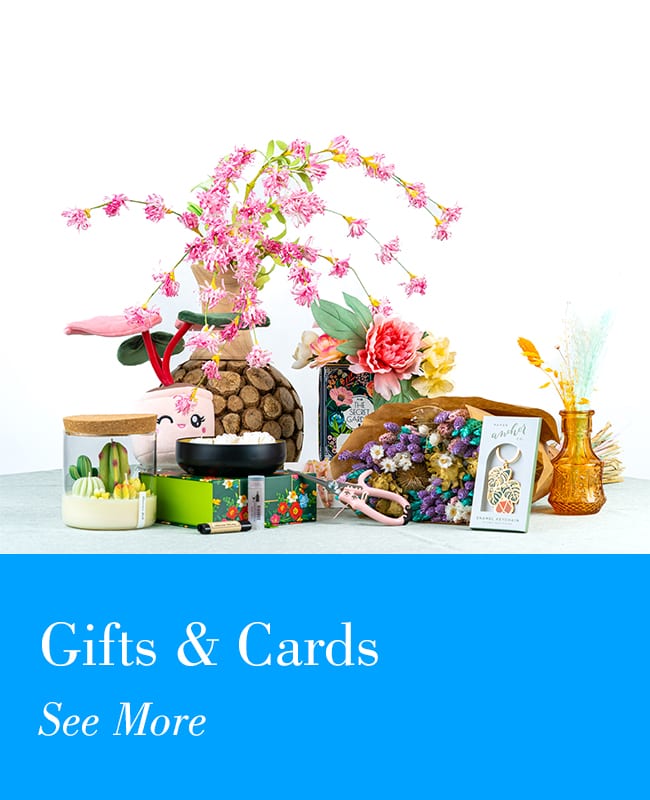 Shop Gifts