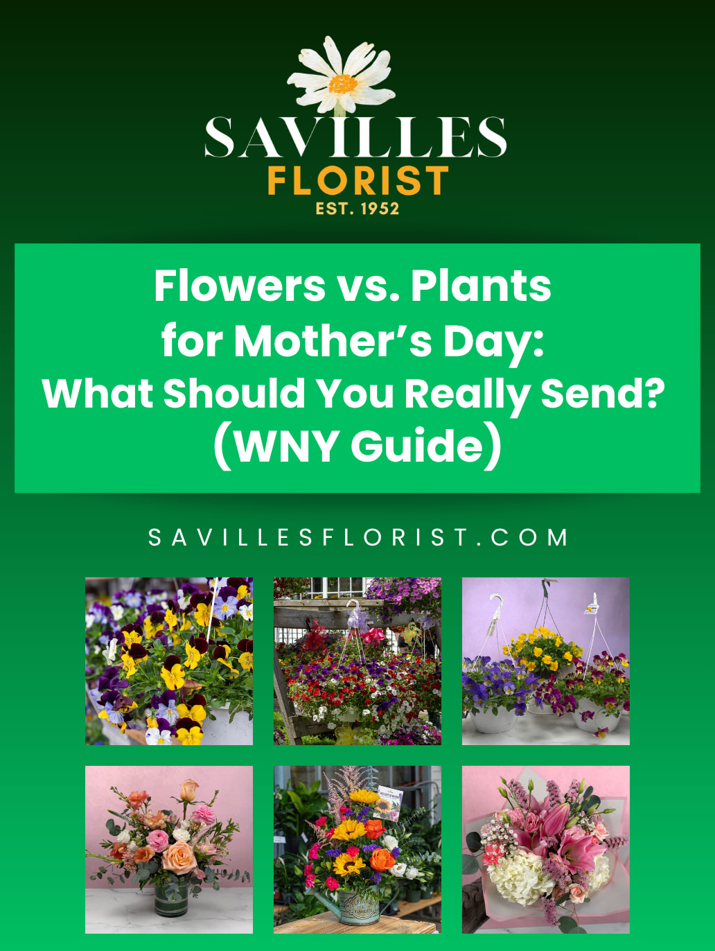 Flowers vs. Plants for Mother’s Day: What Should You Really Send? (WNY Guide)