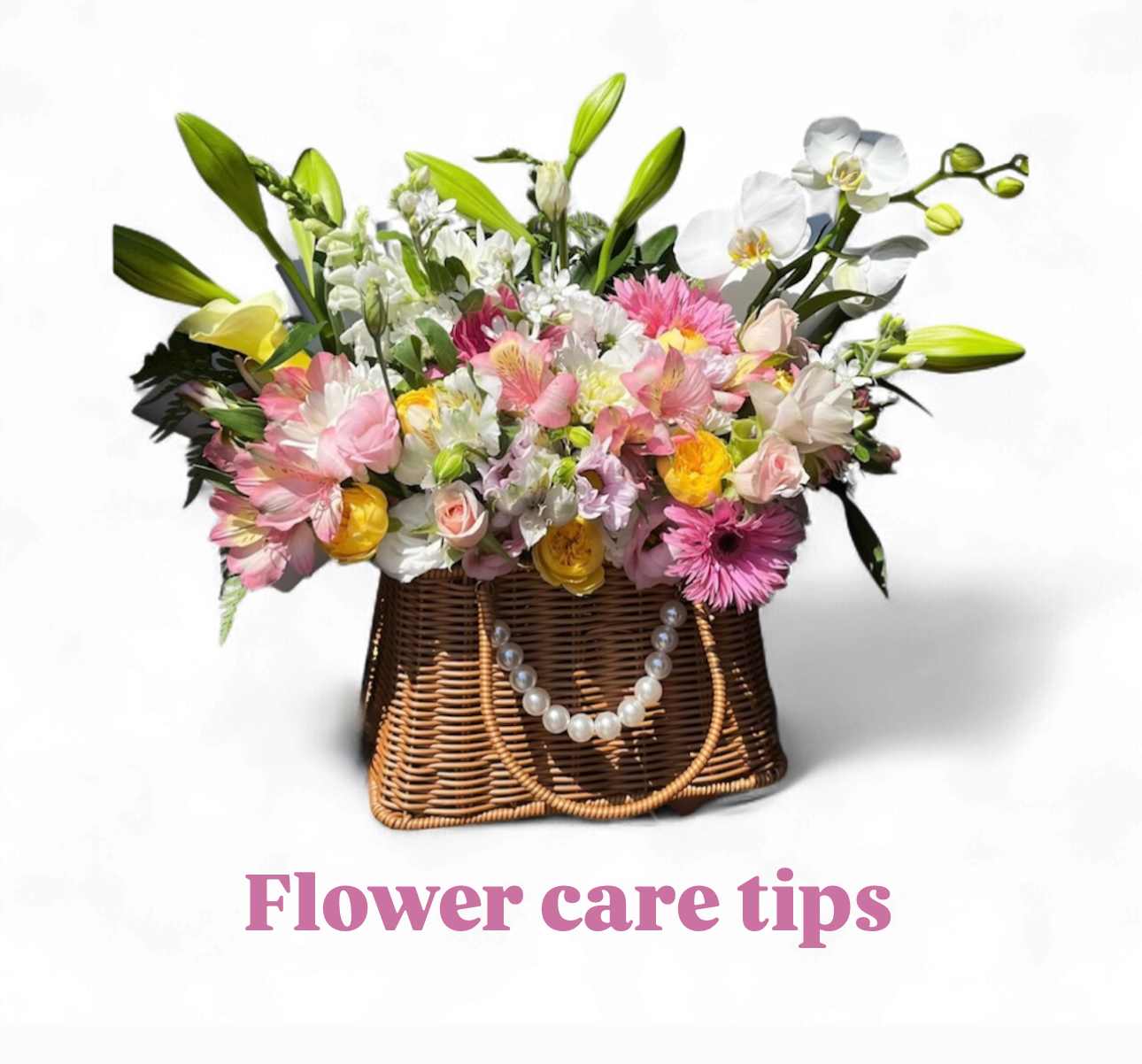 How to keep your bouquet fresh and beautiful
