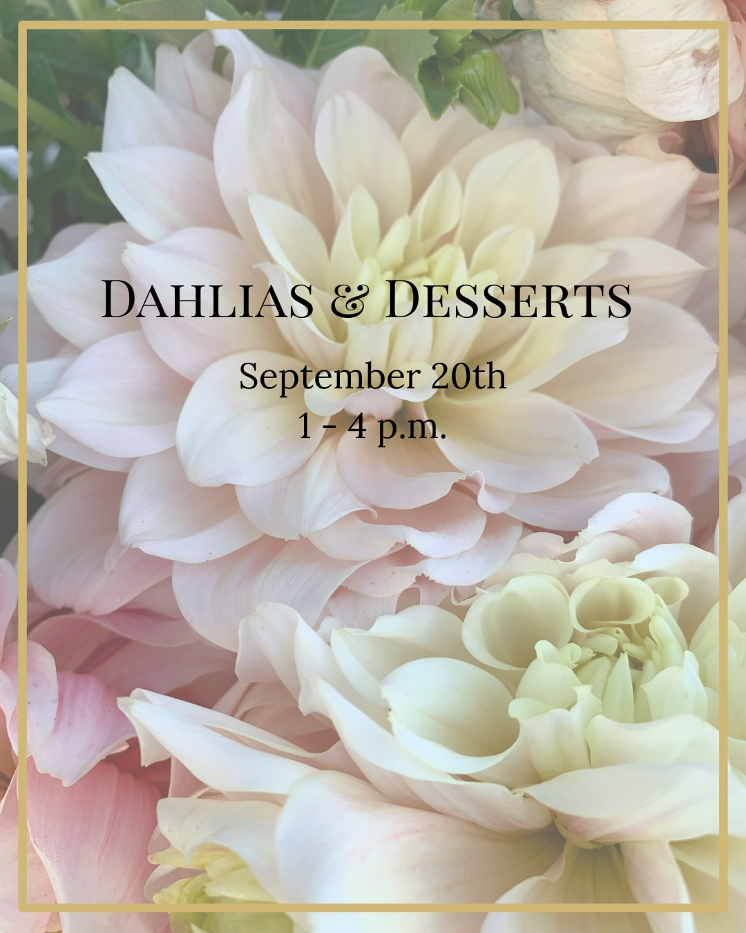 Dahlias & Desserts Workshop - September 20, 2025