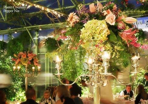 Weddings and Events (PARTIES)