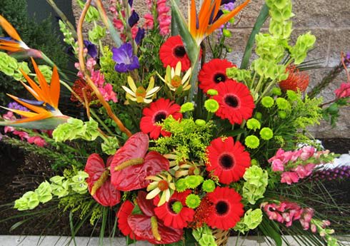 Sympathy Expressions