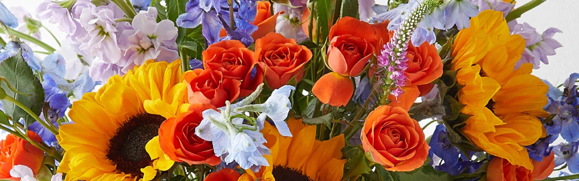 Seasonal Flowers for Fall in Fort Lauderdale