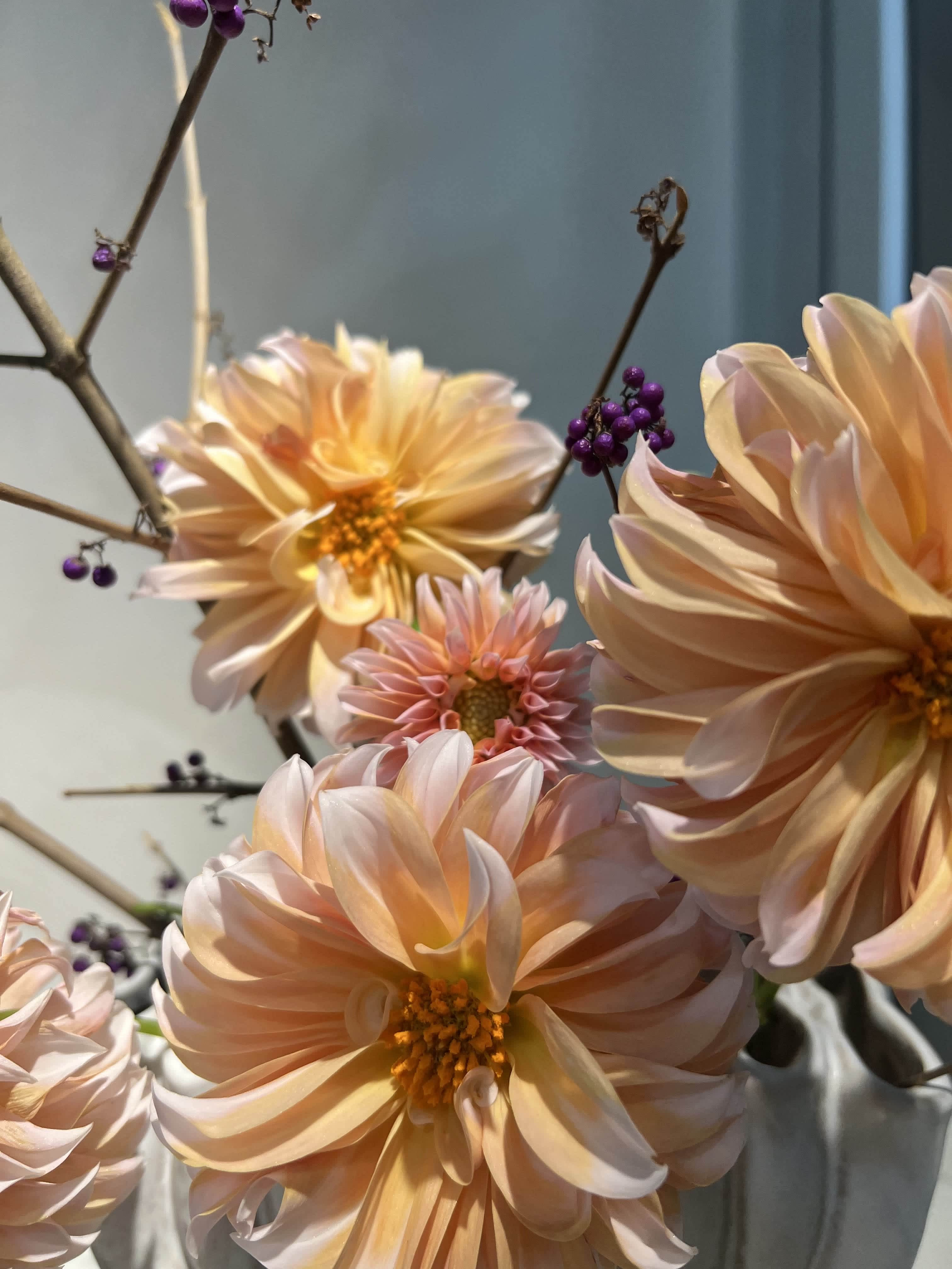 Home Care for Your Flowers