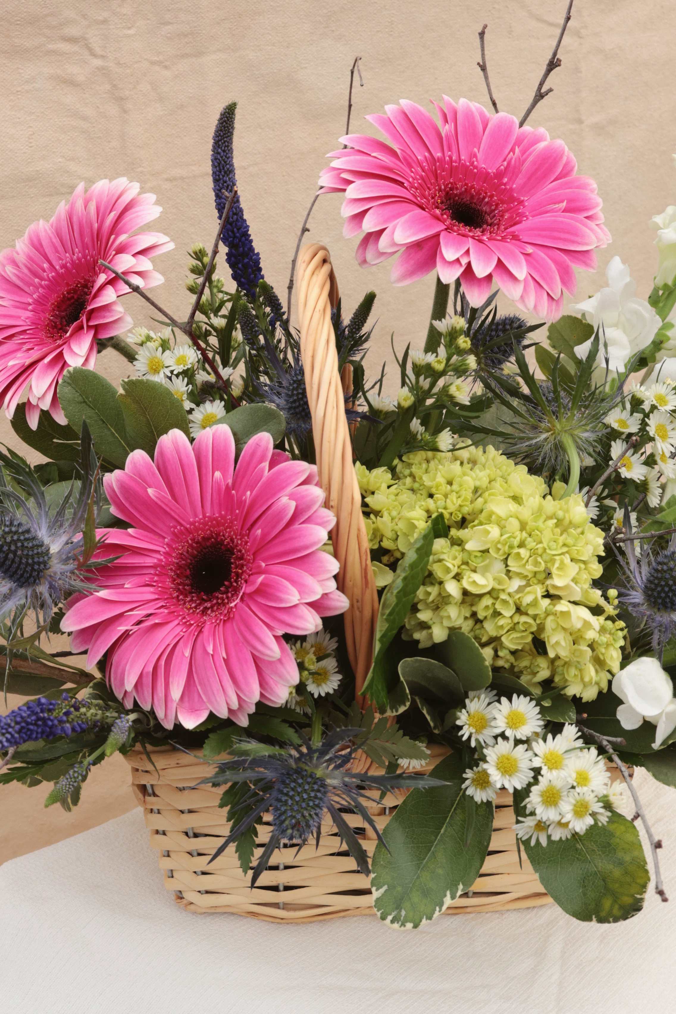 Petal Peddler Creations