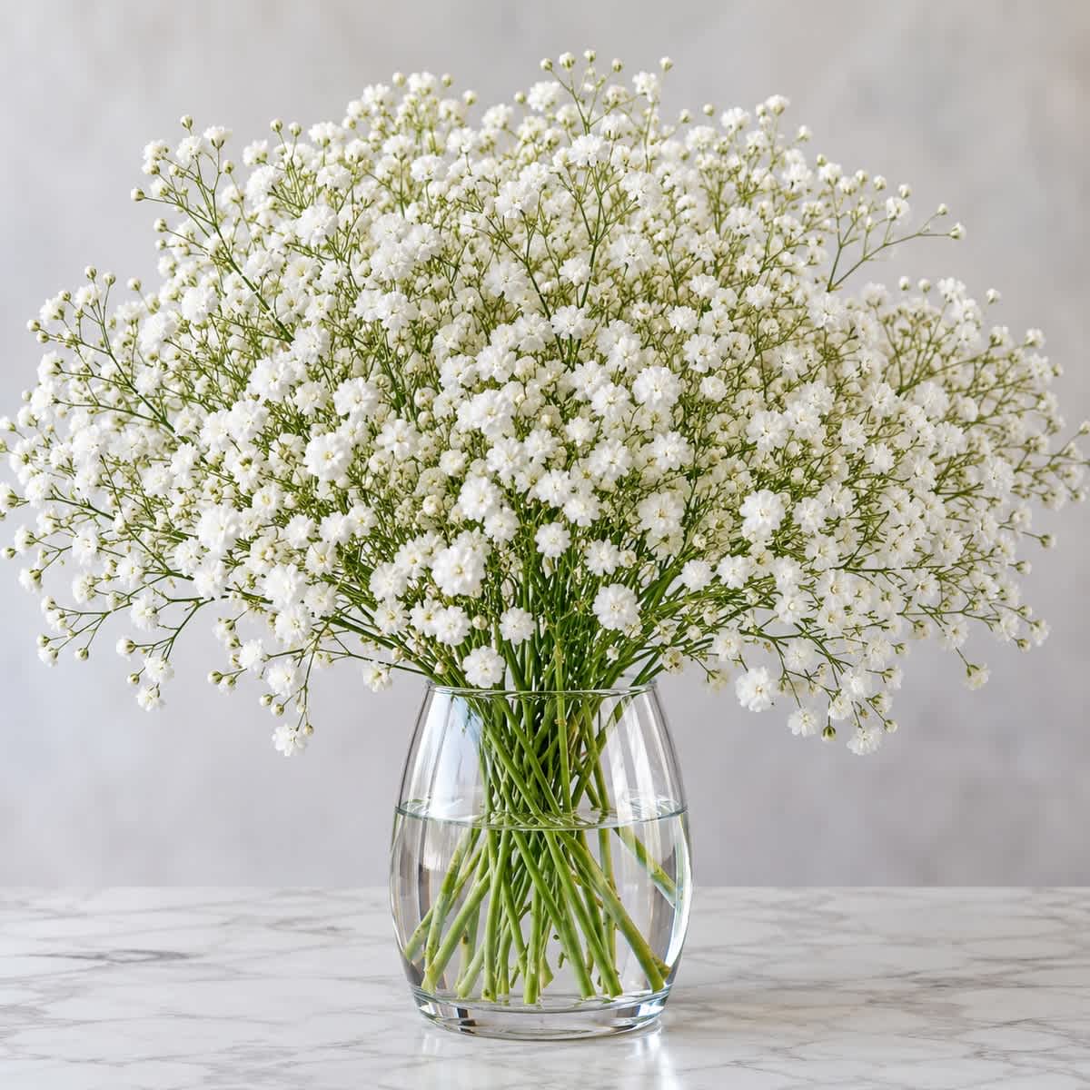 Did You Know That Baby's Breath Isn't Really Just "Filler"?