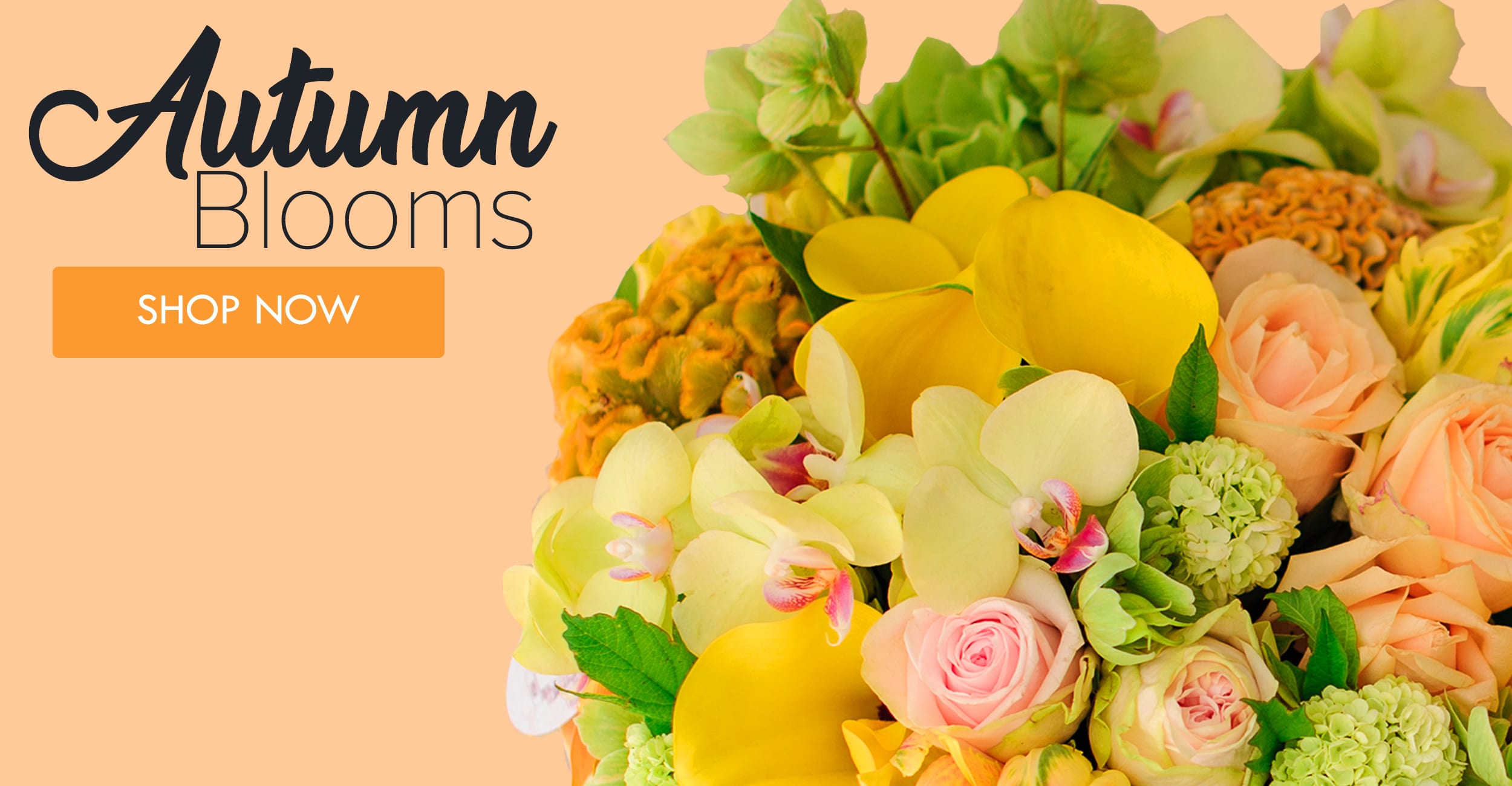 Jenks Florist Flower Delivery by Rathbone's Flair Flowers