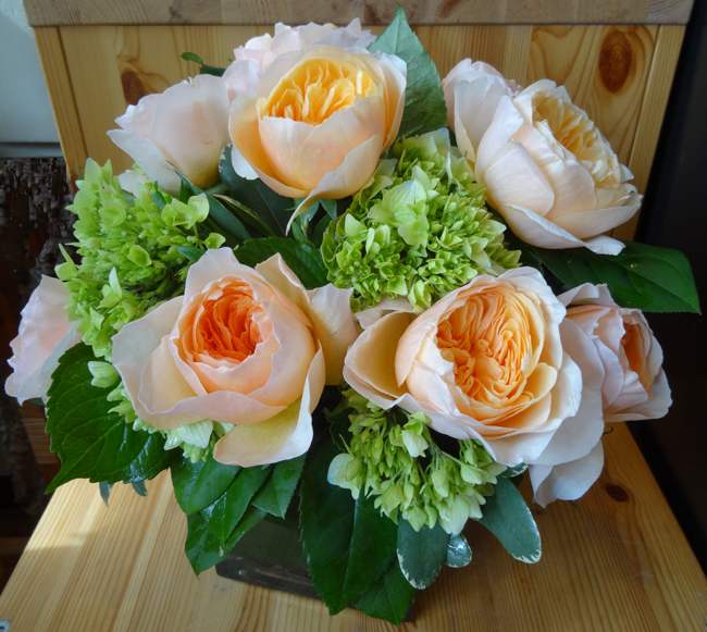 Great gift ideas for Mom!