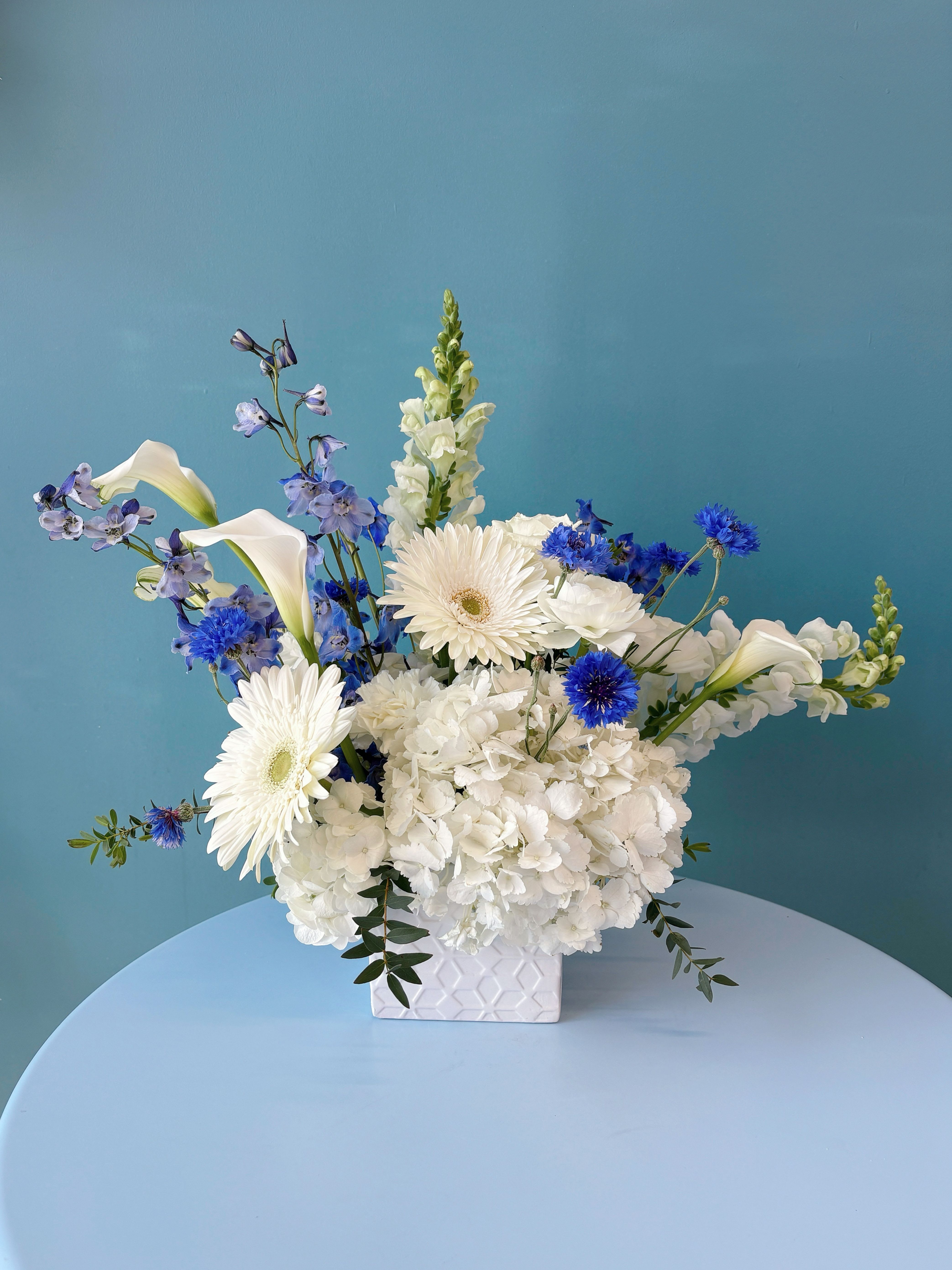 Seasonal Flowers in Ontario: What's Blooming Throughout the Year?