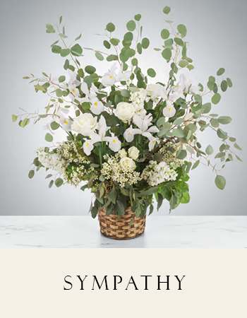 Sympathy