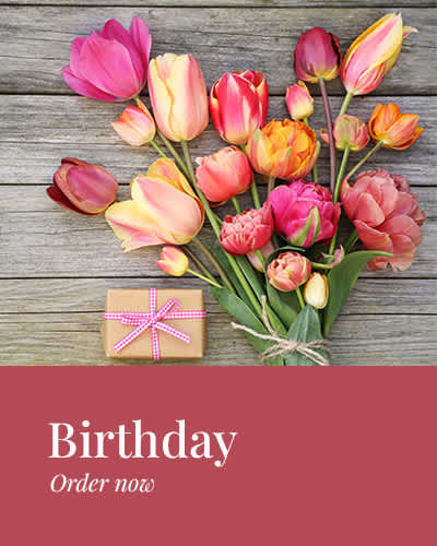 Birthday