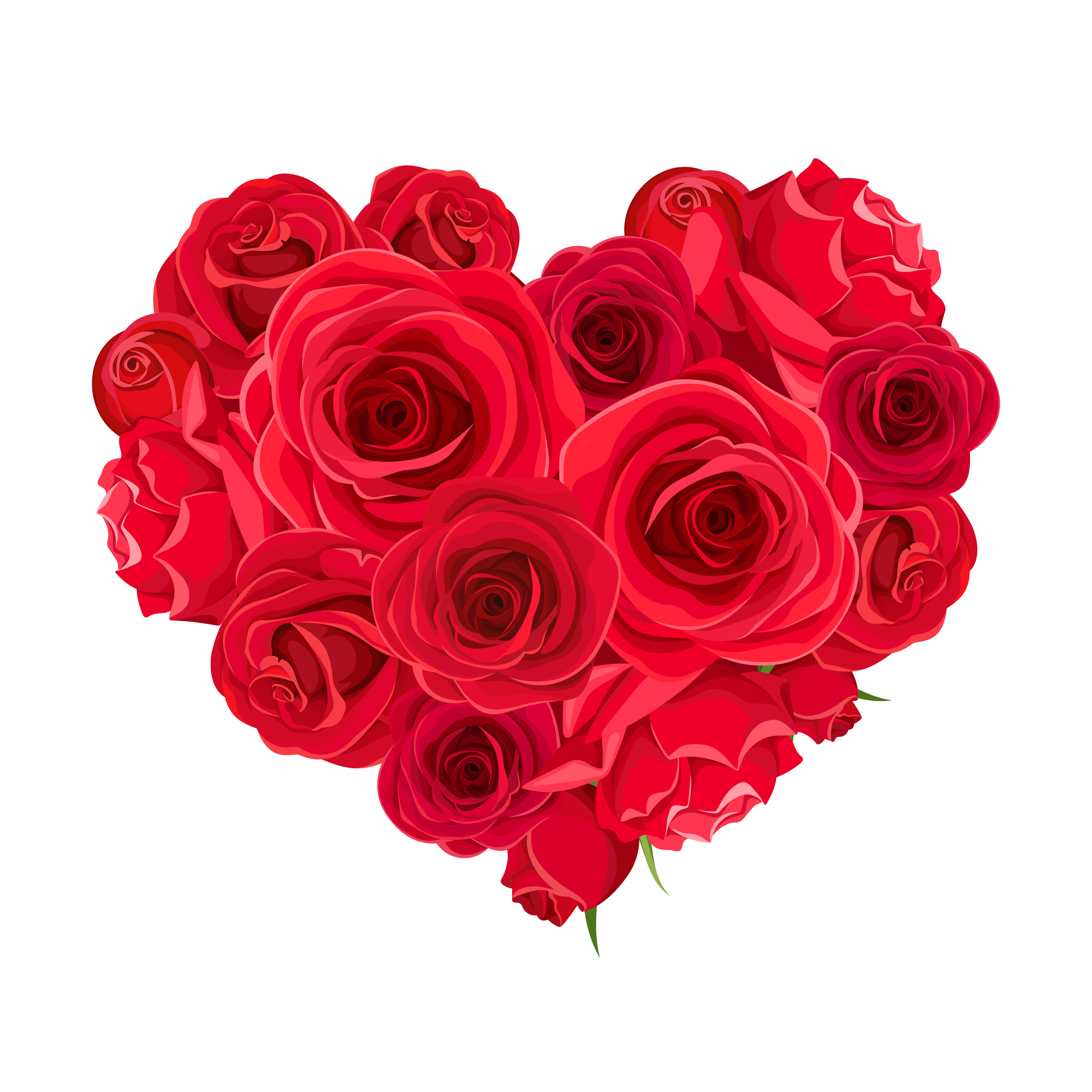 Valentine’s Day: Why Do We Gift Roses?