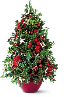 Start a new holiday tradition!