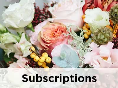 Subscriptions