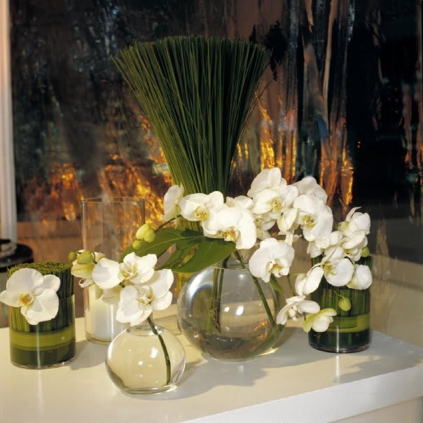 David Yurman Launch Party