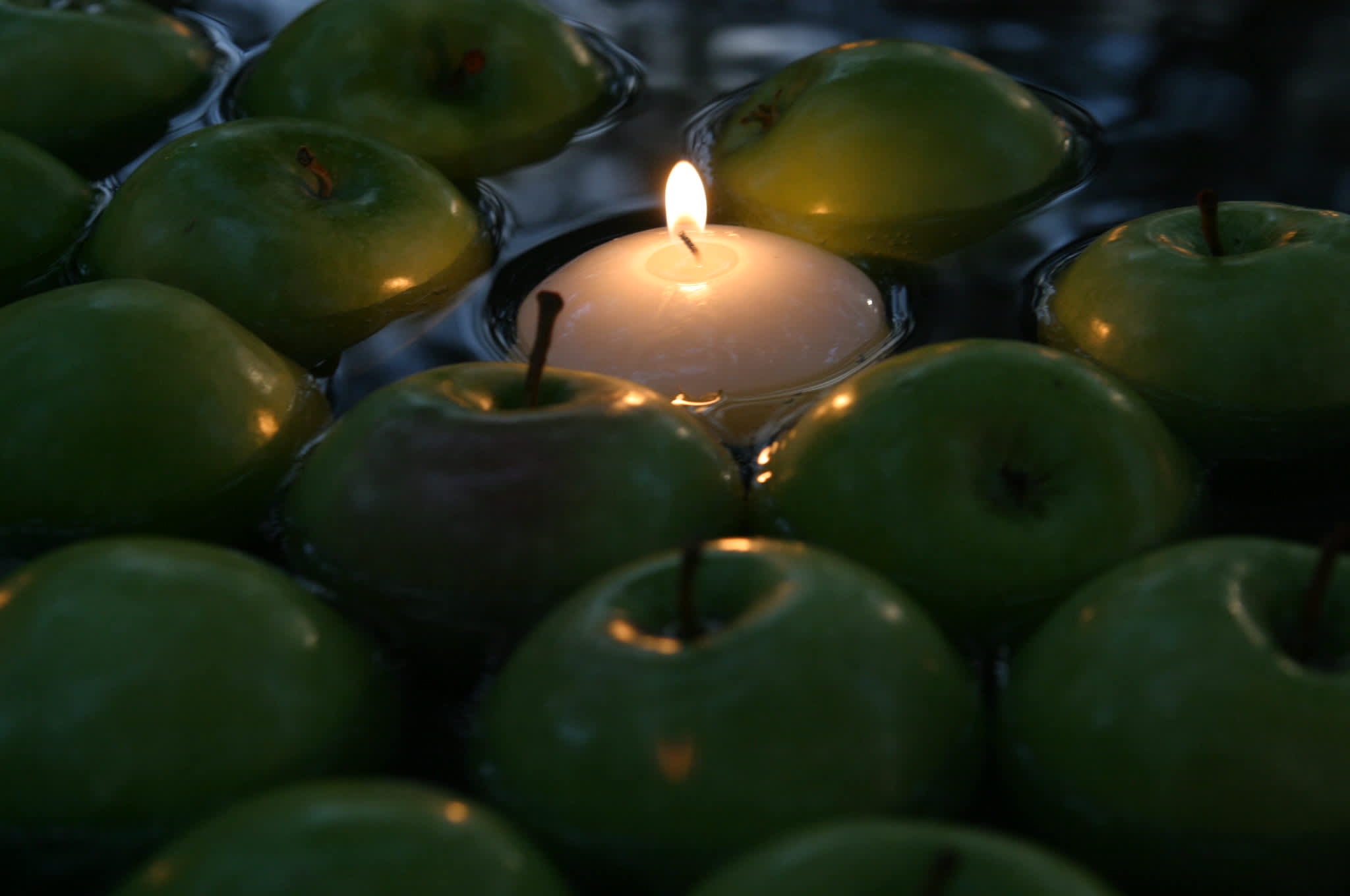 Moondance at the Heard Museum