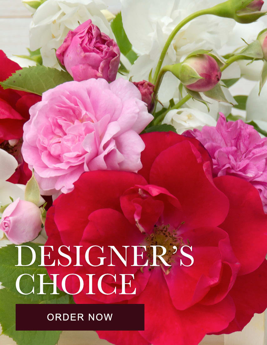 Studio City Florist Flower Delivery by Dee's Flowers