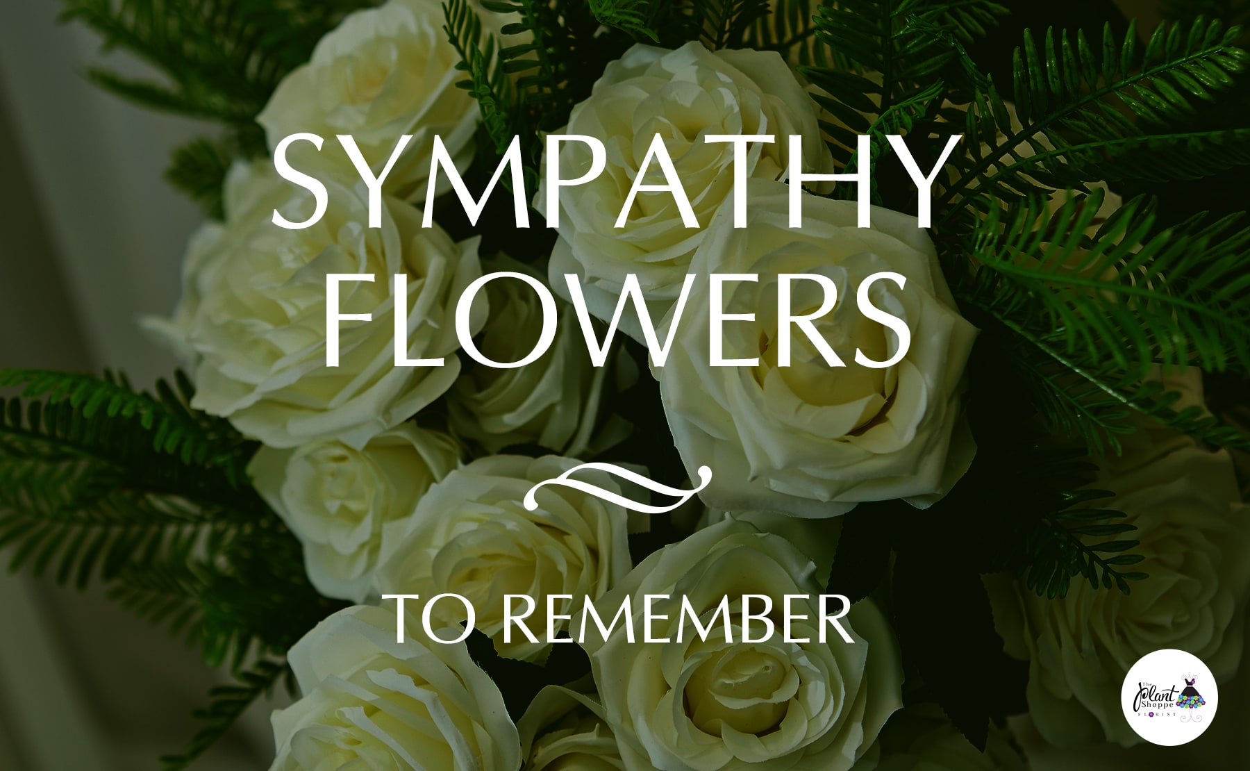 Gainesville Florist Flower Delivery by The Plant Shoppe Florist