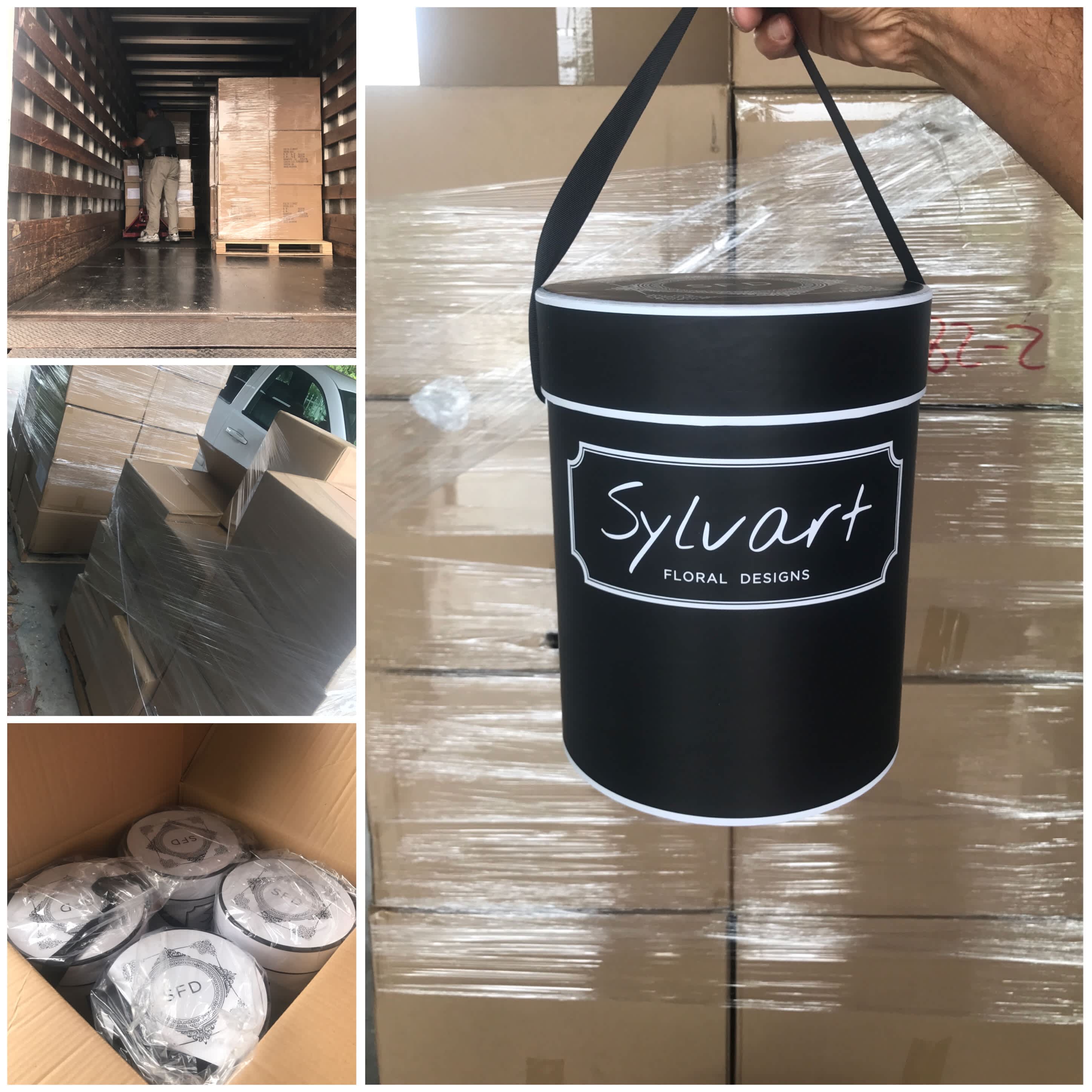 "SFD" Signature Collection has Finally Arrived!