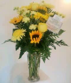 What is bright and cheery?