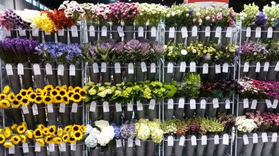 Flower trade show