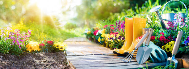 Gardening in four steps