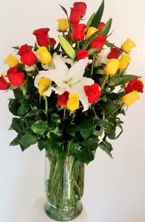 The Big and the Bold