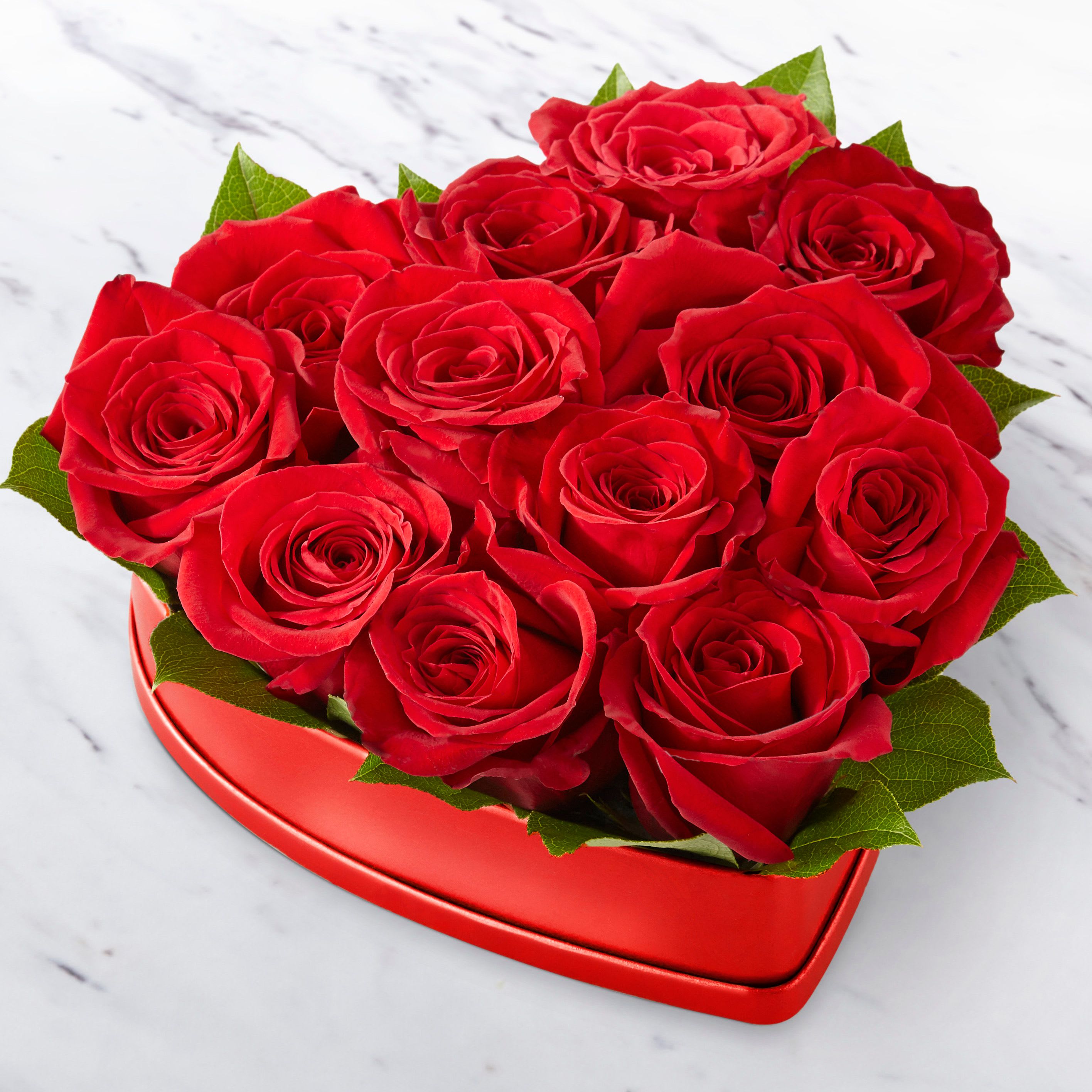 Valentine's Day and Roses