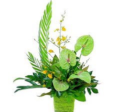 St Patrick's Day flower arrangement