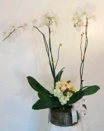 What is the Prettiest Flower Arrangement?