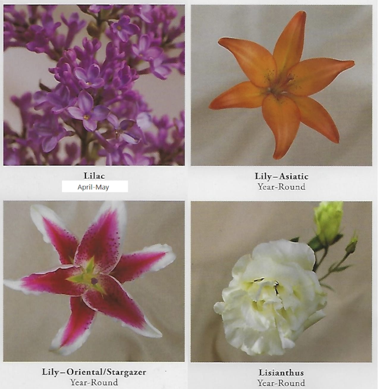 Flower Charts