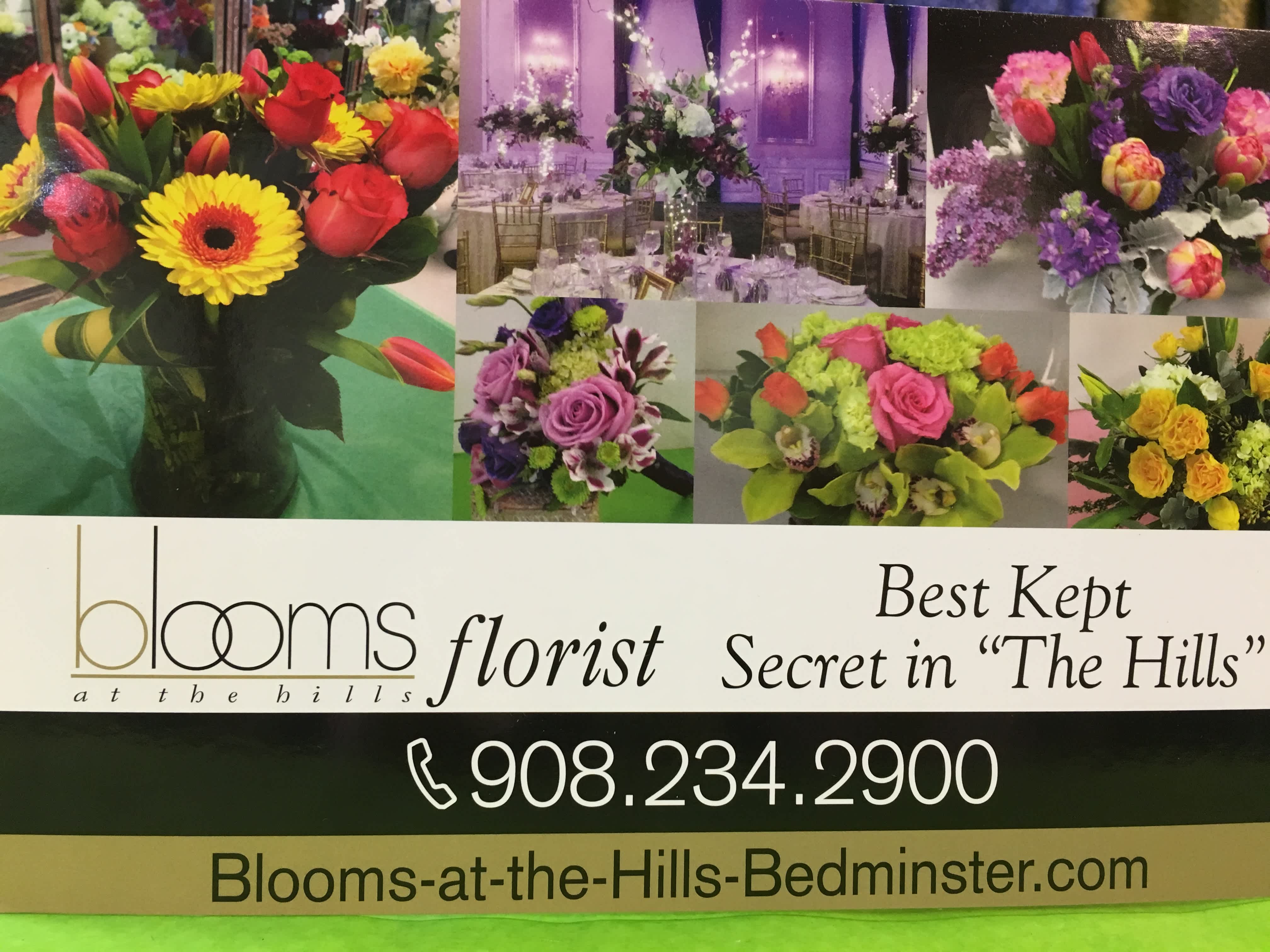 BEST KEPT SECRET IN THE "HILLS"