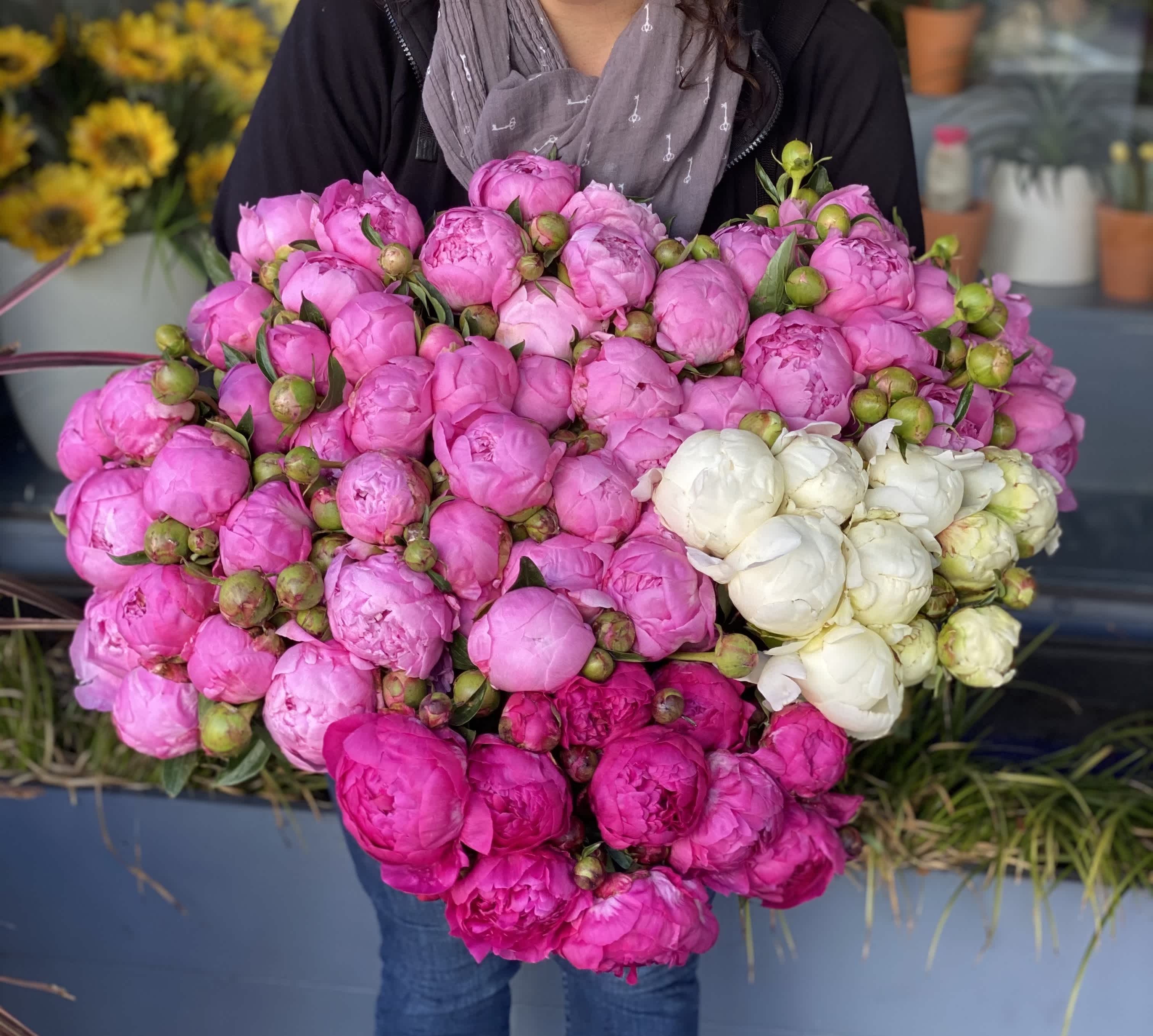 Peony Season in San Francisco: Celebrating California-Grown Peonies