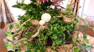 Plants are the bomb!