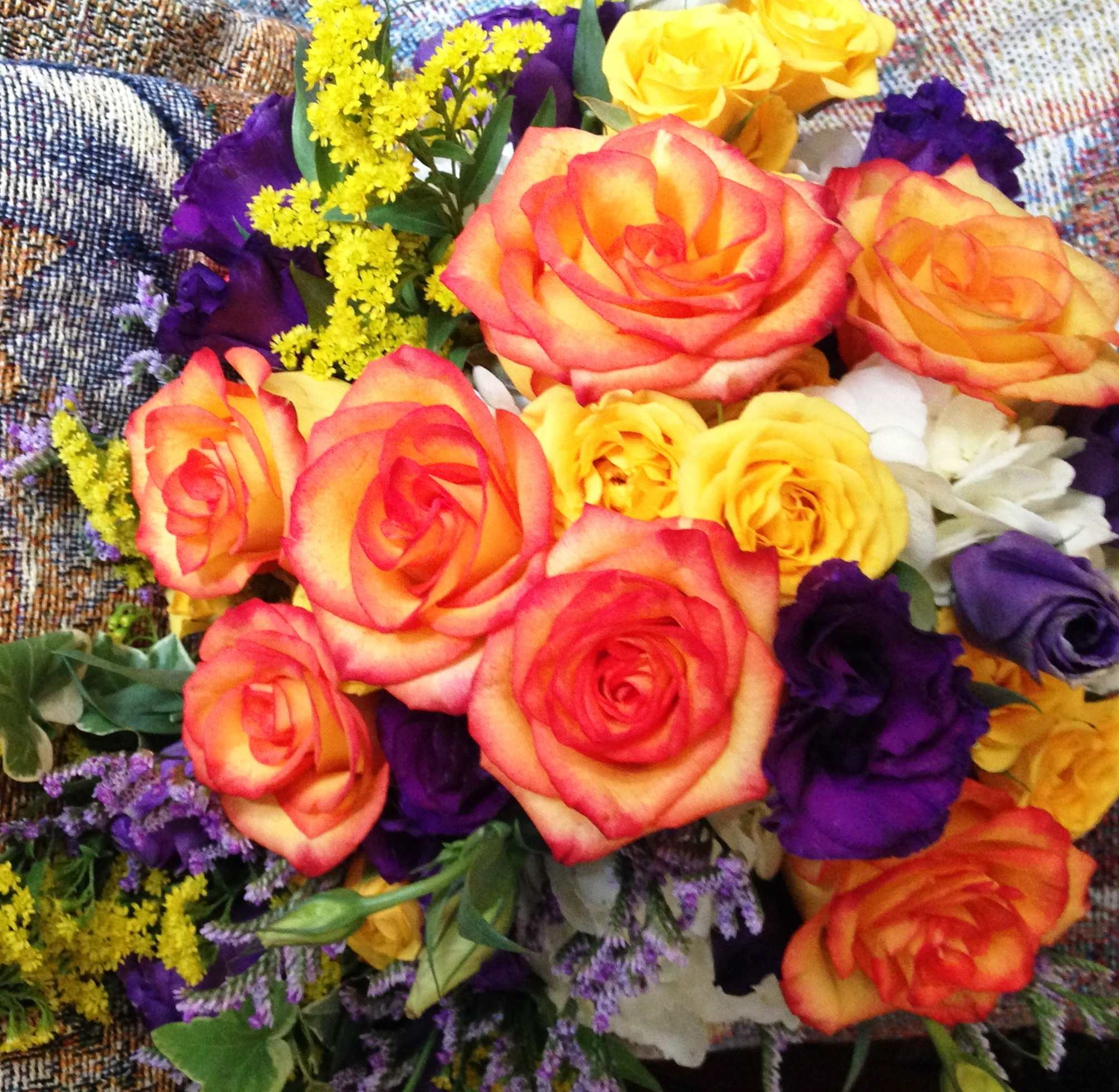 Enjoy the rainbow of fall!