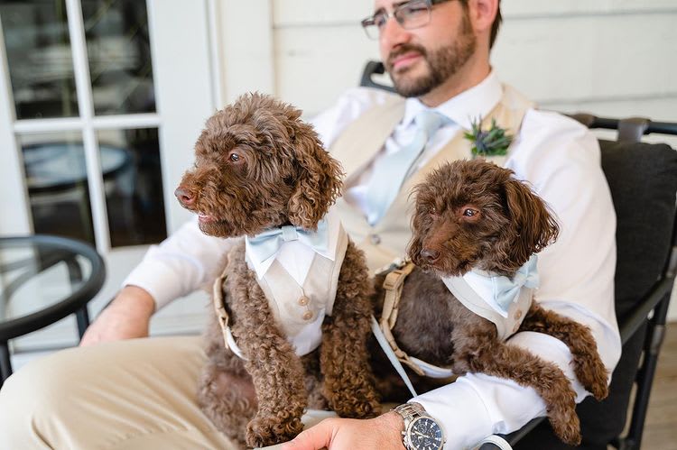 Wedding Flower Trends/ What's in Bloom