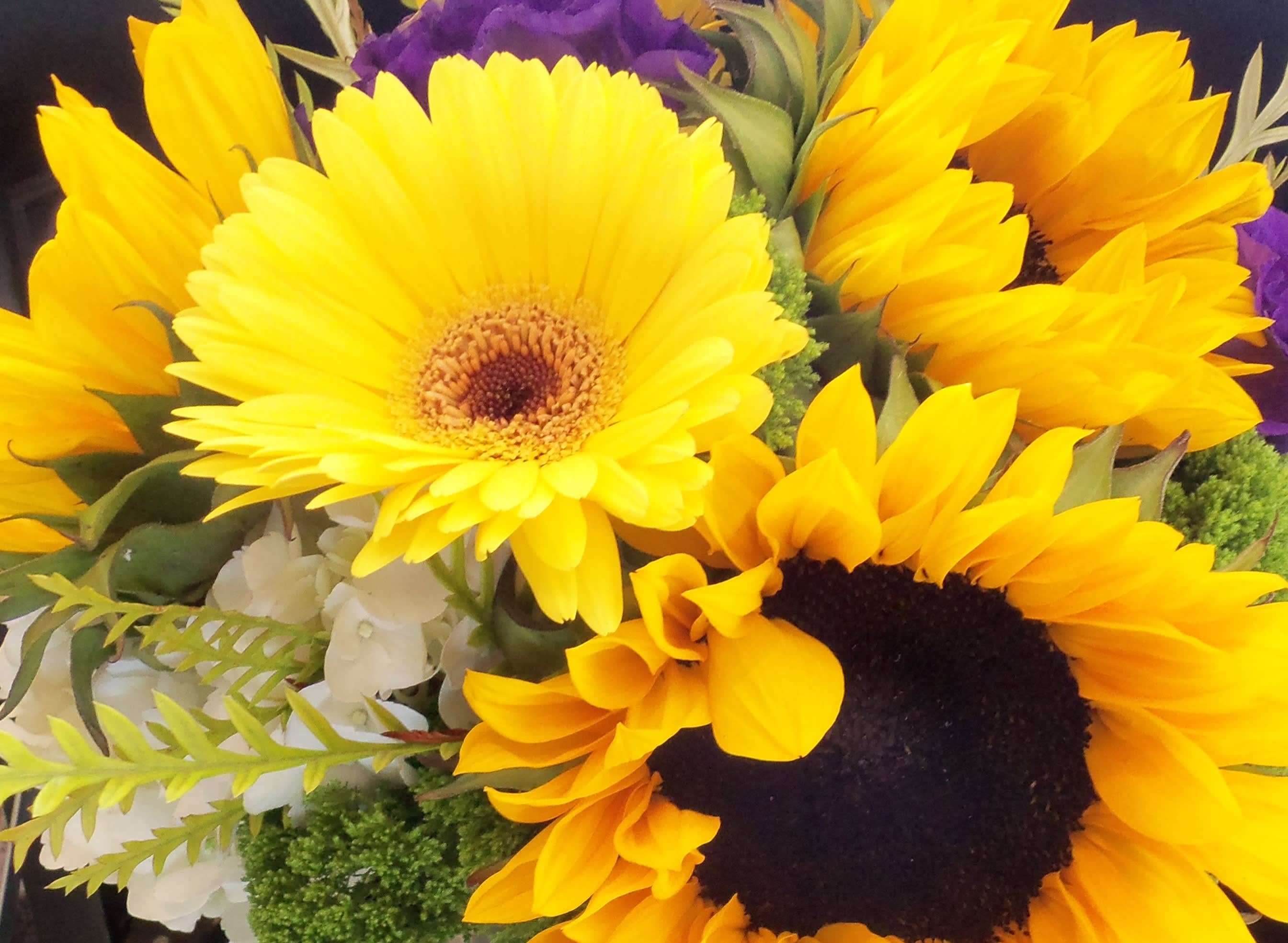 DAD'S LIKE FLOWER TOO!