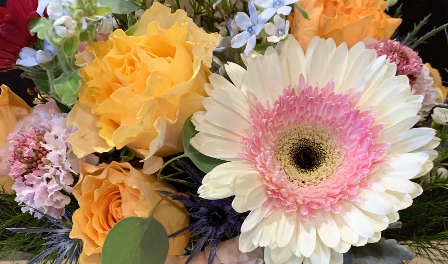 Administrative Professionals Day April 26, 2023