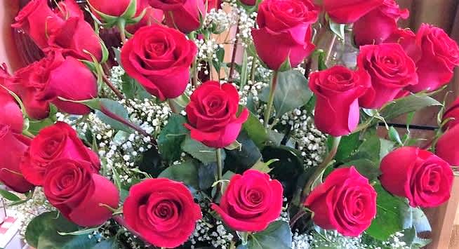 Spectacular Roses