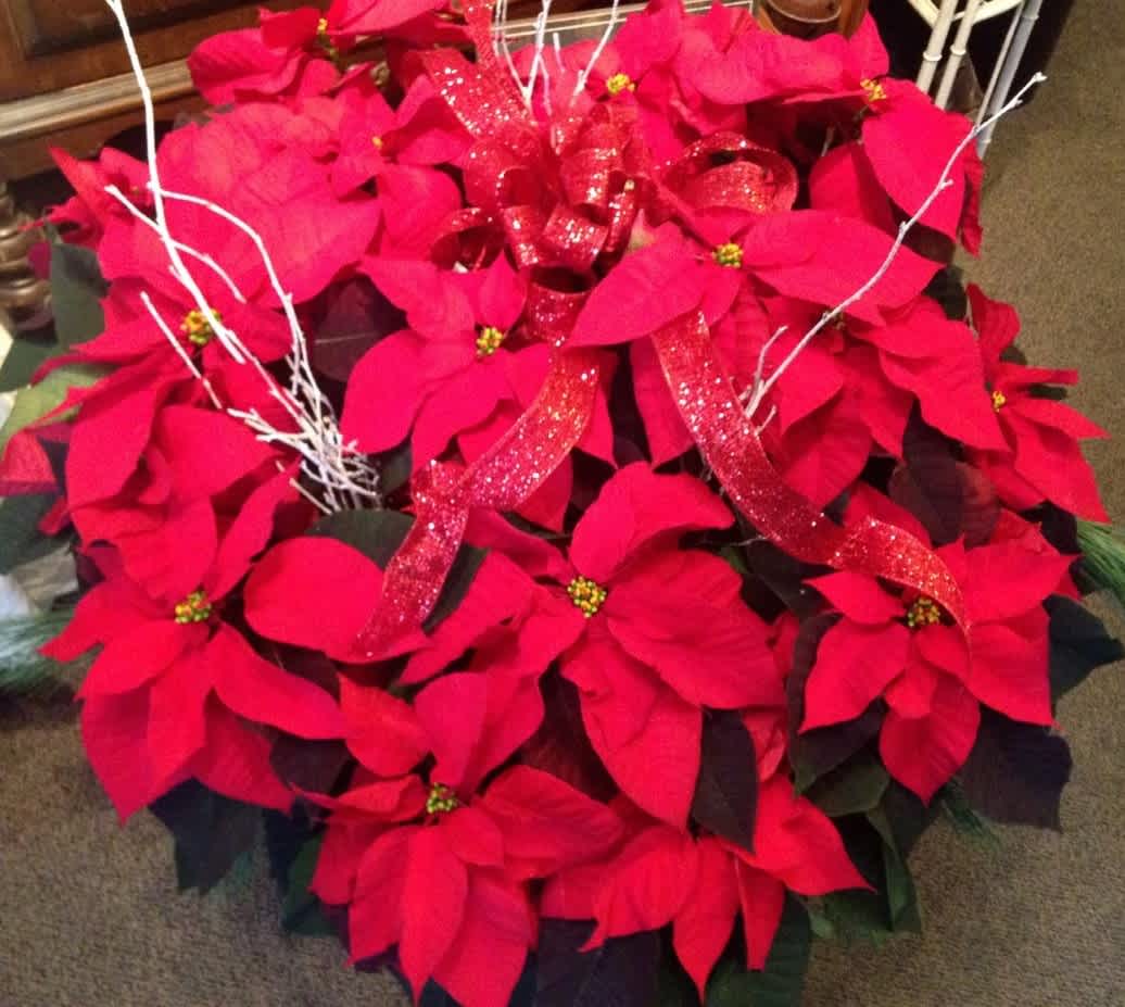 Send A Little Sparkle