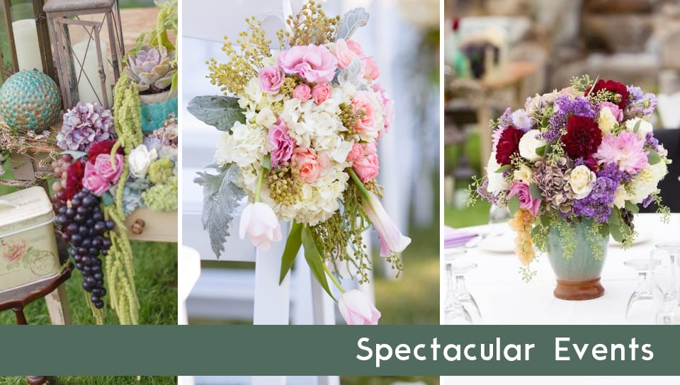 Glendale Florist Flower Delivery by The Dezign Shop