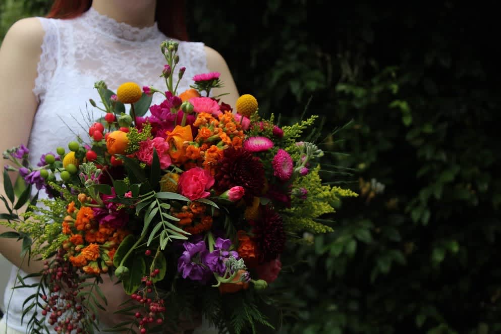 Troyers Amish Blatz Fairview, NC
