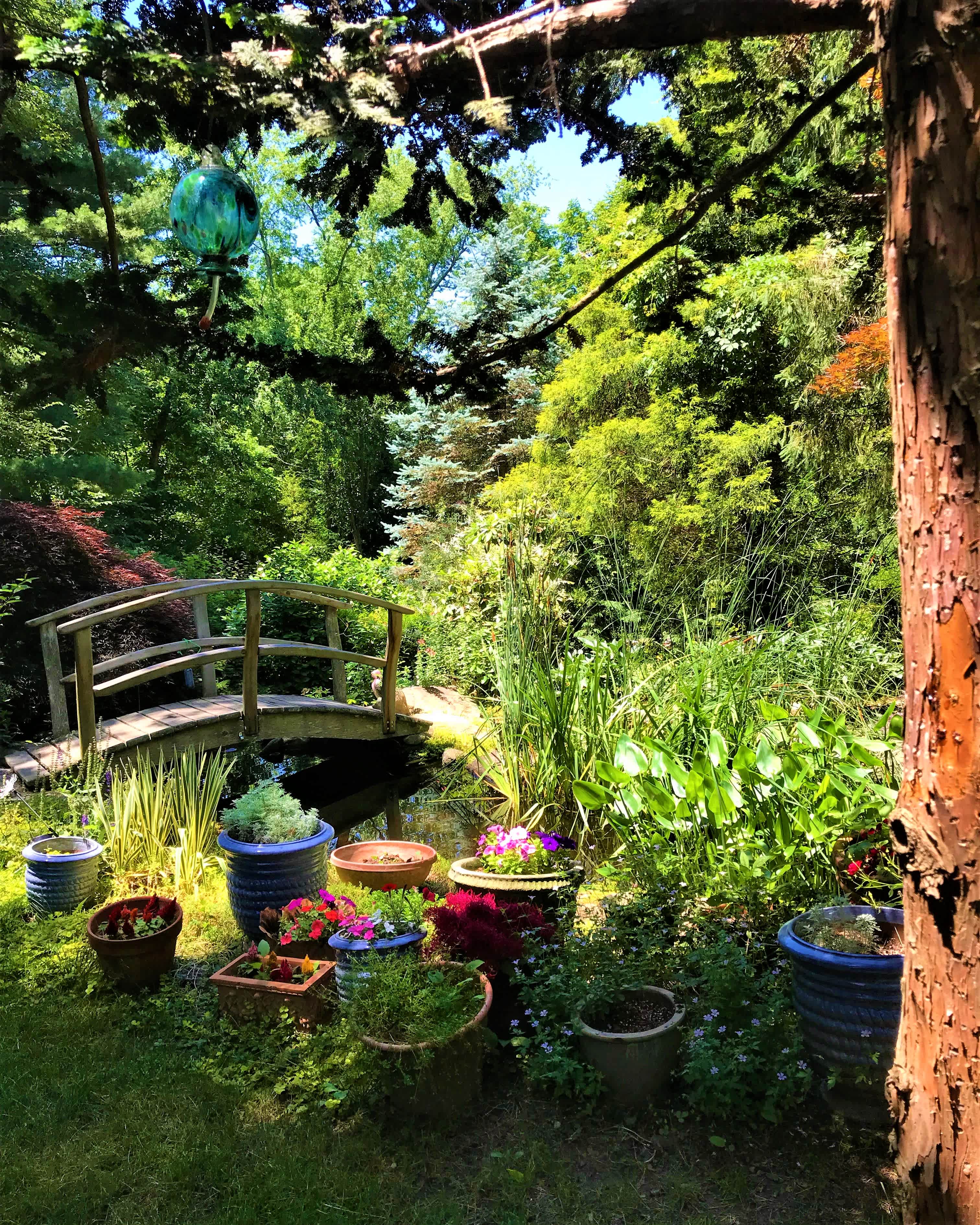 At Cumberland Falls B&B Asheville!