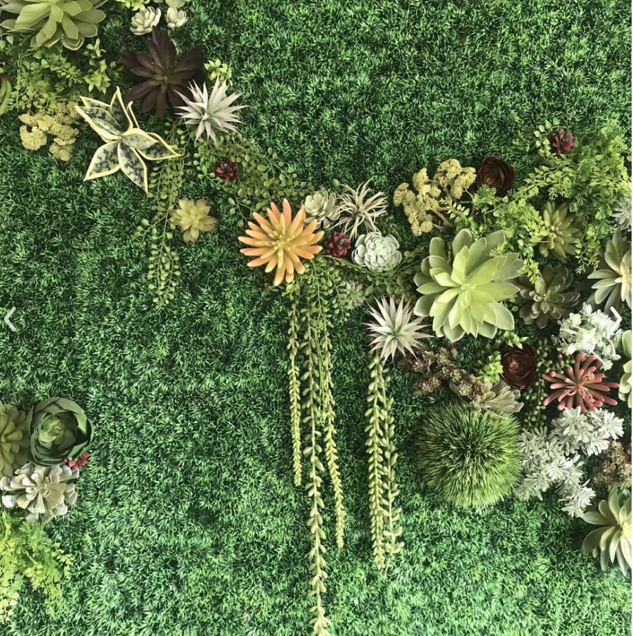 Over the Garden Wall 