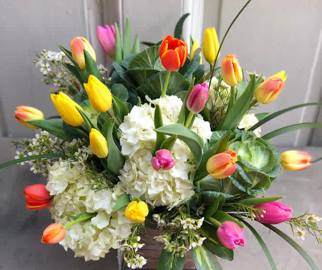 Embracing the Joy of Spring Flowers