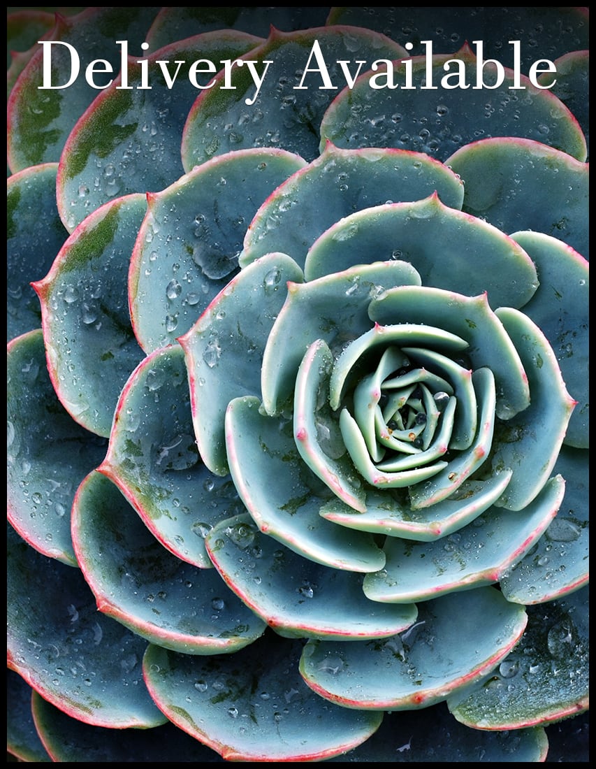 Best of Las Vegas Florist 2015 Flower Delivery by A Garden Floral