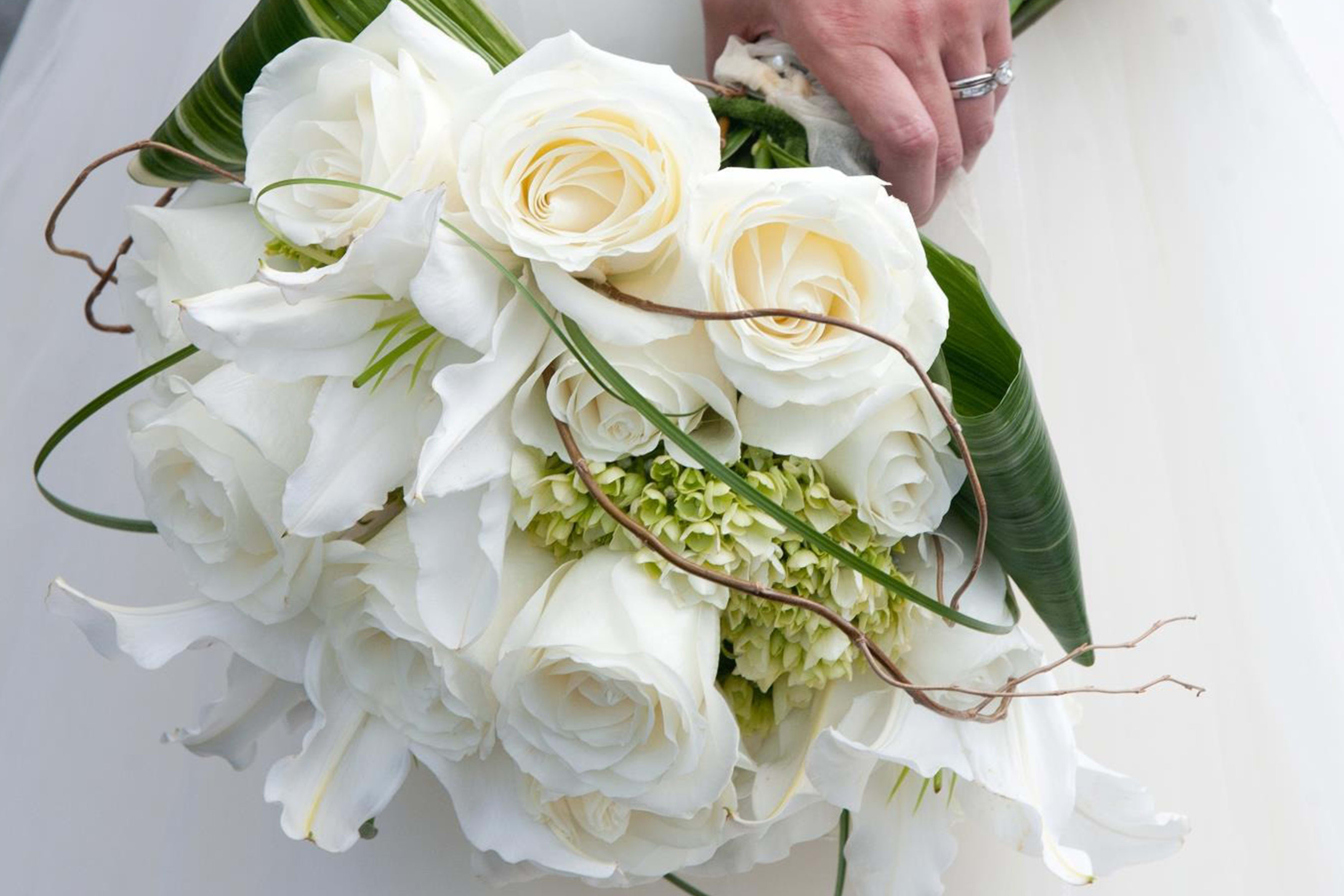 Grand Rapids Florist Flower Delivery by Designing Dreams