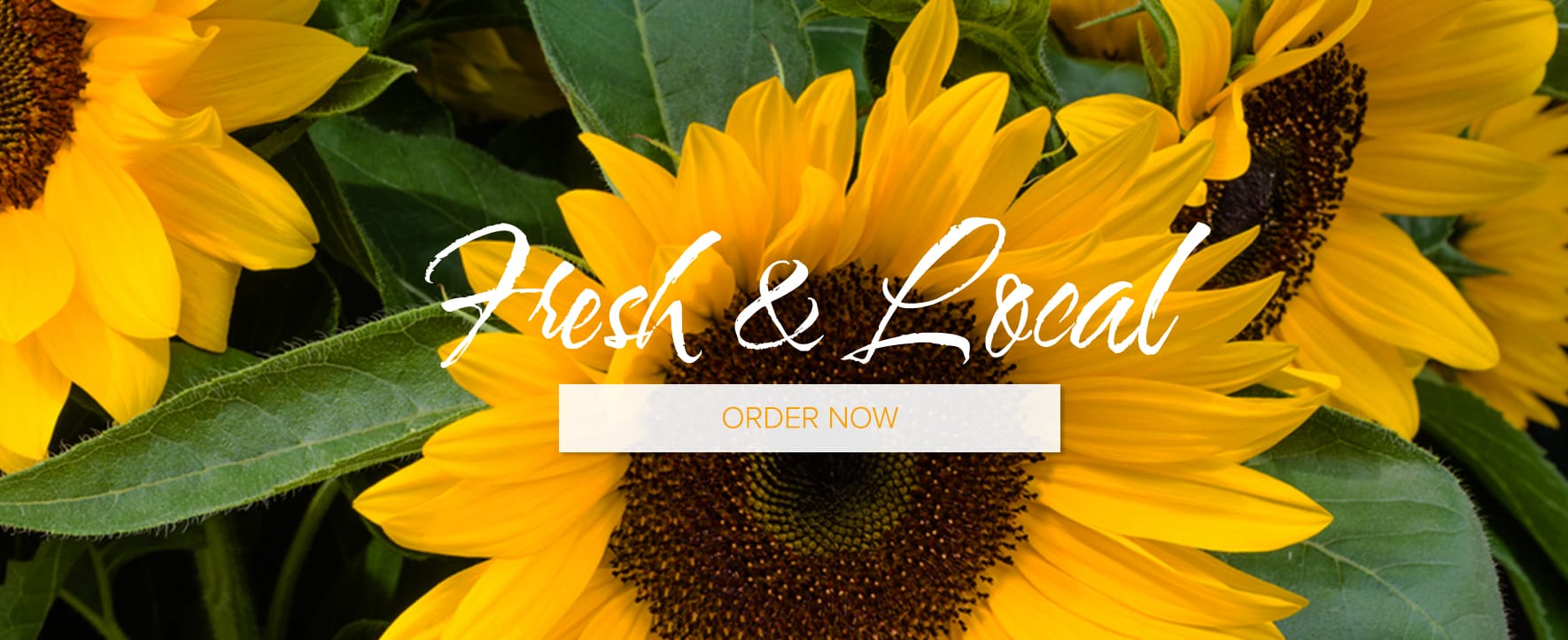 Woodbury Florist Flower Delivery by Woodlane Flowers