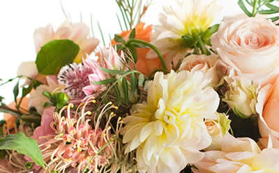 Seasonal Favorites Image