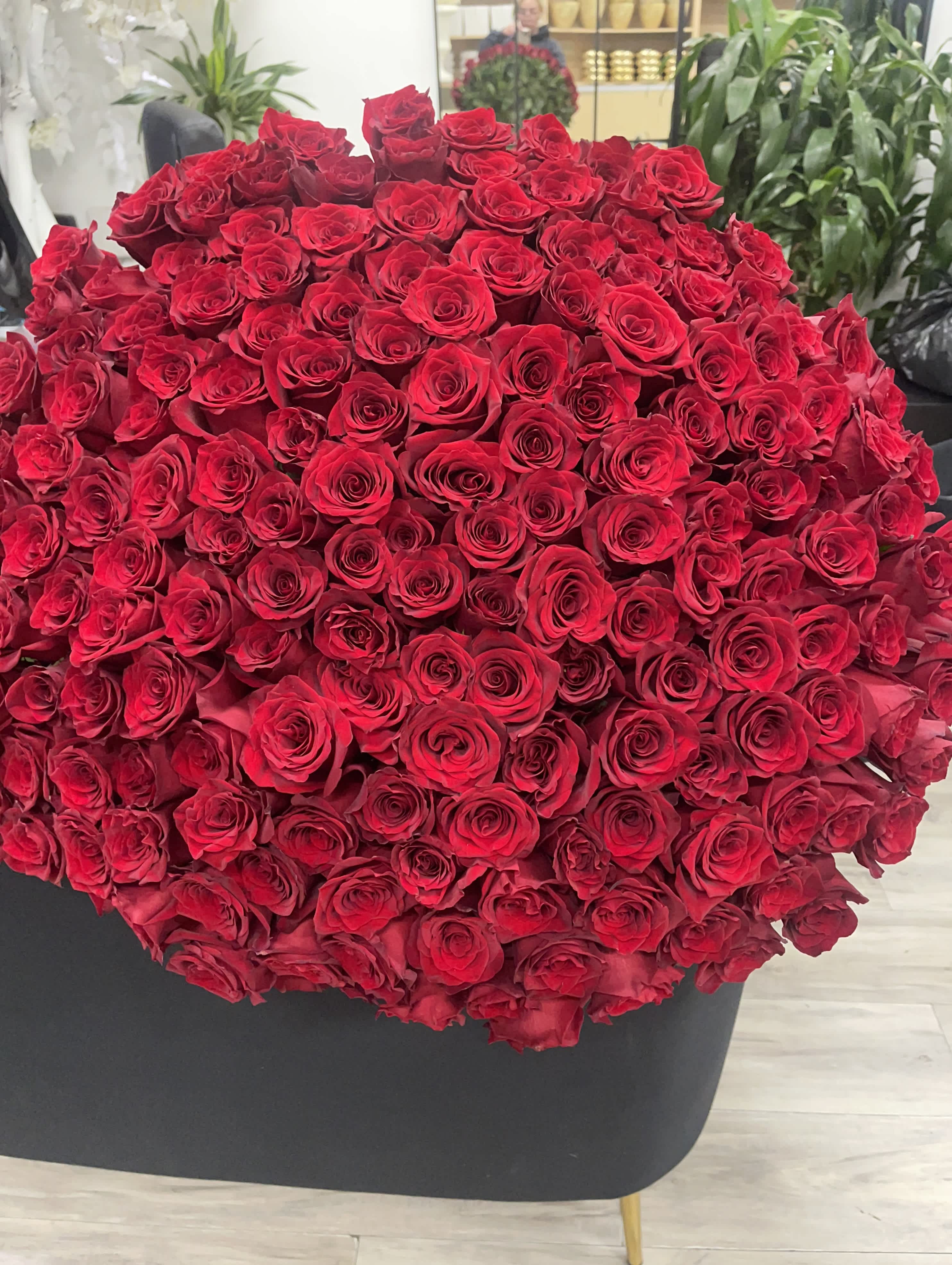 Red Rose Dome of 300 Flowers